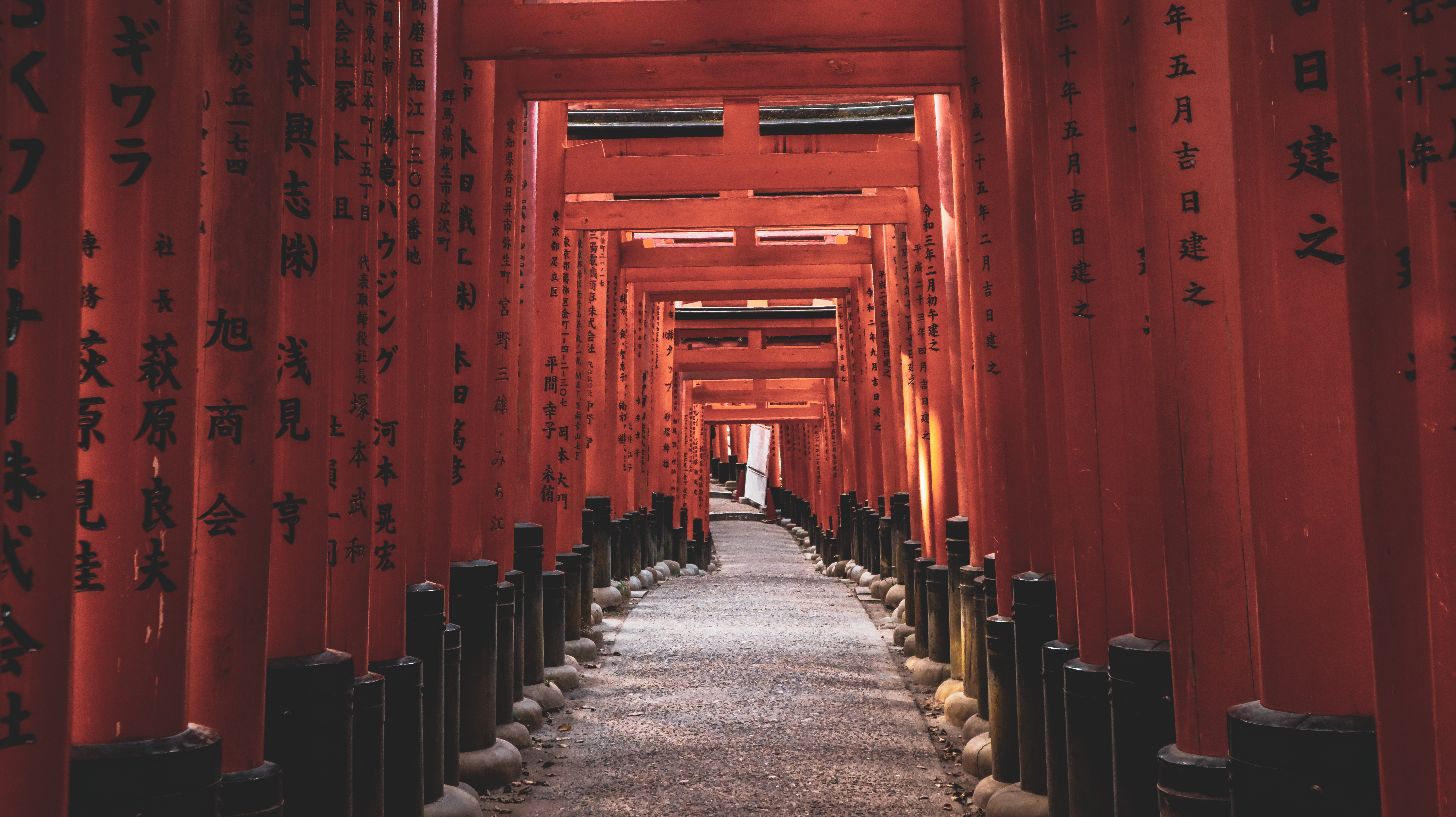 Torii gates, Fushimi Inari
