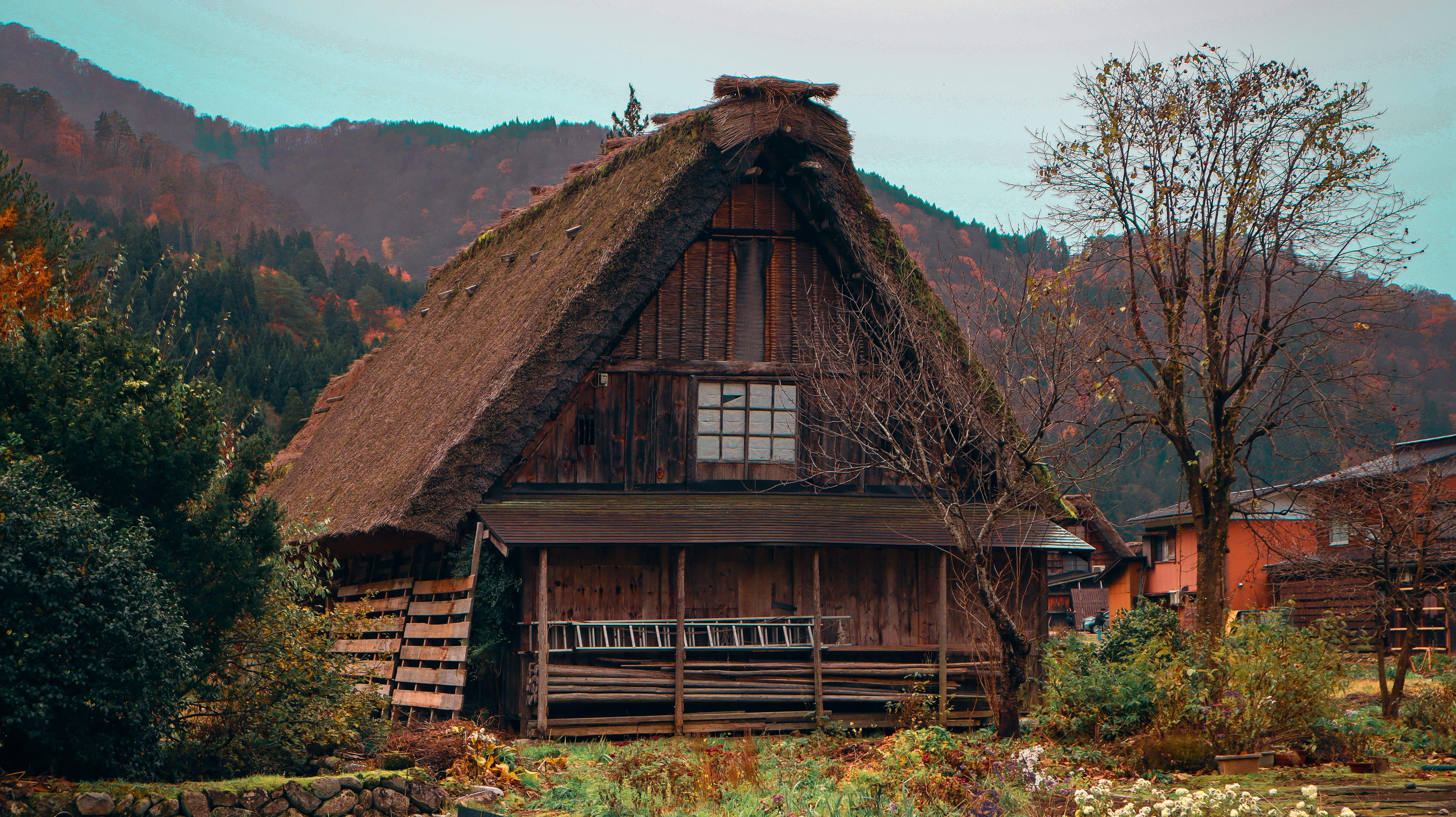 Thatched farmhouse, Shirakawa-go